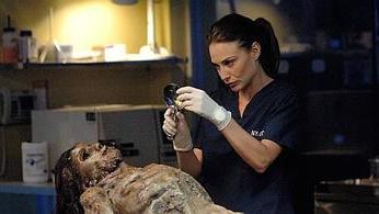 Claire Forlani Cast on NCIS: Los Angeles; Will She Replace Linda Hunt Next  Season? - TV Fanatic