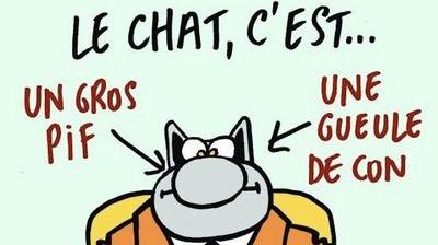 Philippe Geluck Et Le Chat Insultes Le Soir