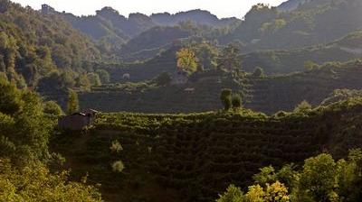 Le prosecco, ce vin italien qui s'exporte désormais jusqu'en Chine