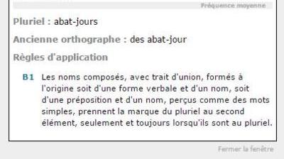 Les Nouveaux Mots Pour Les Nuls Mode D Emploi Le Soir